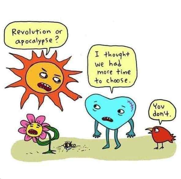 This meme is a humorous take on the concept of "free will vs. fate" in the context of the classic debate between Charles Darwin's theory of evolution and the idea of a divine creator. The image shows a sun, a flower, a heart, and a bird, each with a speech bubble expressing their thoughts on the matter. The sun says "I thought we had more time to choose", the flower says "You don't", and the bird says "You don't".